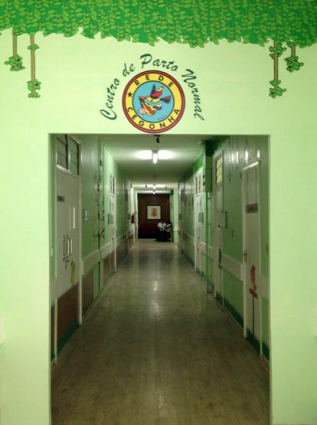   												Centro de Parto Normal da Maternidade Dona Evangelina Rosa						 (Foto:Ascom Sesapi)					