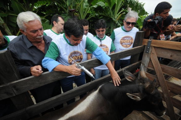   												Lanamento oficial da 1 Etapa da Campanha de Vacinao Contra a Febre Aftosa 2016 no estado do Piau.						 (Foto:Francisco Gilsio)					