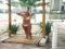 VERA FISCHER RELEMBRA FRIAS EM MIAMI:
