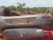 Uma pessoa morre e criana fica ferida em capotamento na BR 343