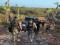 Polcia Federal deflagra operao de combate a grilagem de terras no litoral do Piau.