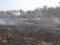 Incndio atinge parque no interior do Piau e empresrio lamenta prejuzo ambiental.